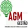 AGM GESTAO DE IMOVEIS LTDA